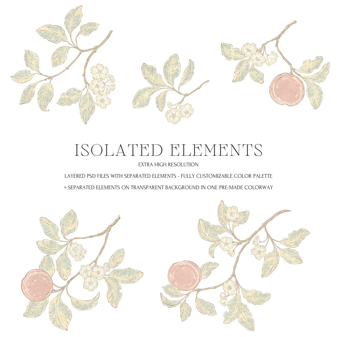 Decorative elements with flowers and leaves on a white background